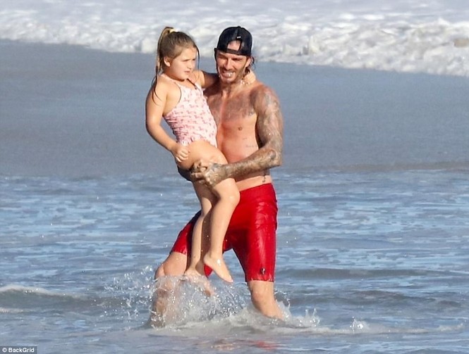 Cô bé Harper 6 tuổi vẫn được bố David Beckham bế bồng - ảnh 1