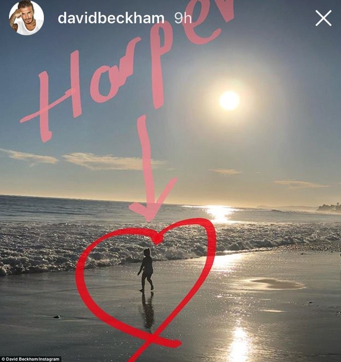 Cô bé Harper 6 tuổi vẫn được bố David Beckham bế bồng - ảnh 6