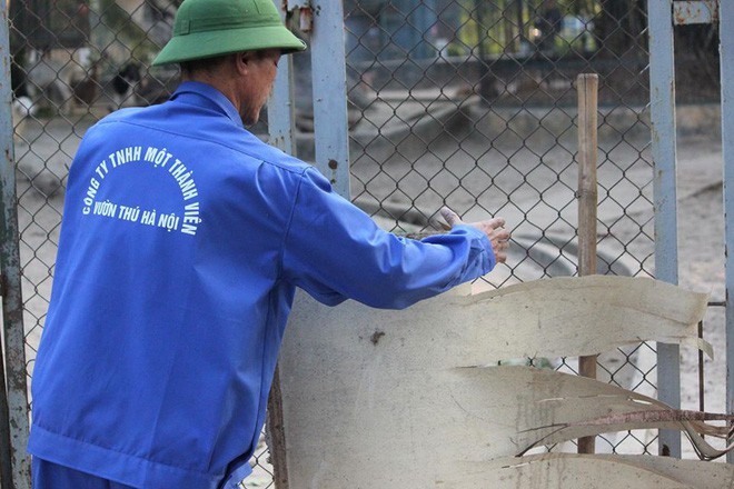 Bật máy sưởi, đốt lửa để giữ ấm cho động vật quý hiếm ở Vườn thú Hà Nội - ảnh 11