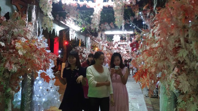 Việt Nam bước sang năm mới 2018 - ảnh 68
