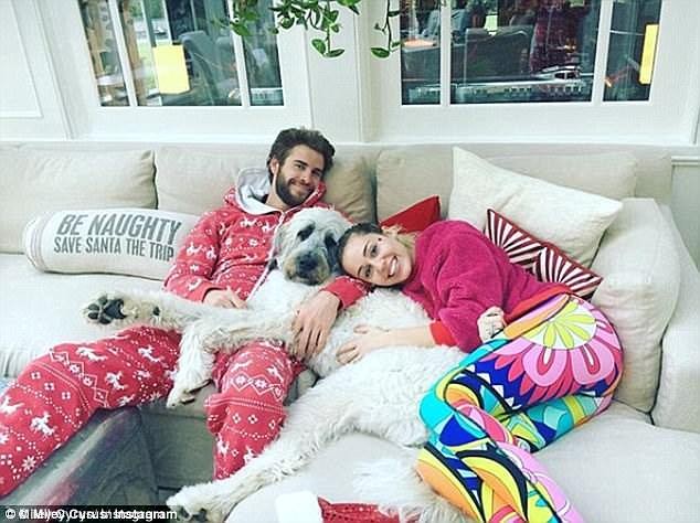 Năm mới, Miley Cyrus và bạn trai cải tạo nhà triệu đô để sinh con - ảnh 7