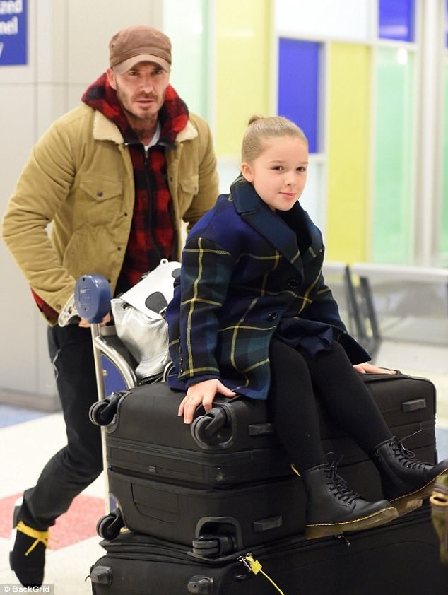 Harper Beckham được bố cho ngồi xe đẩy - ảnh 3