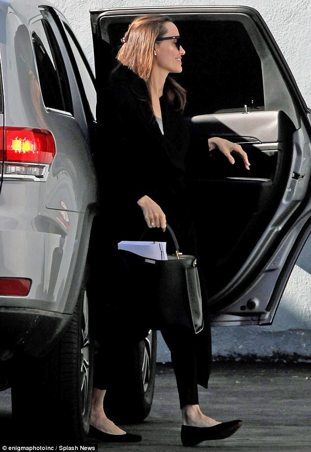 Angelina Jolie yêu doanh nhân bất động sản - ảnh 4