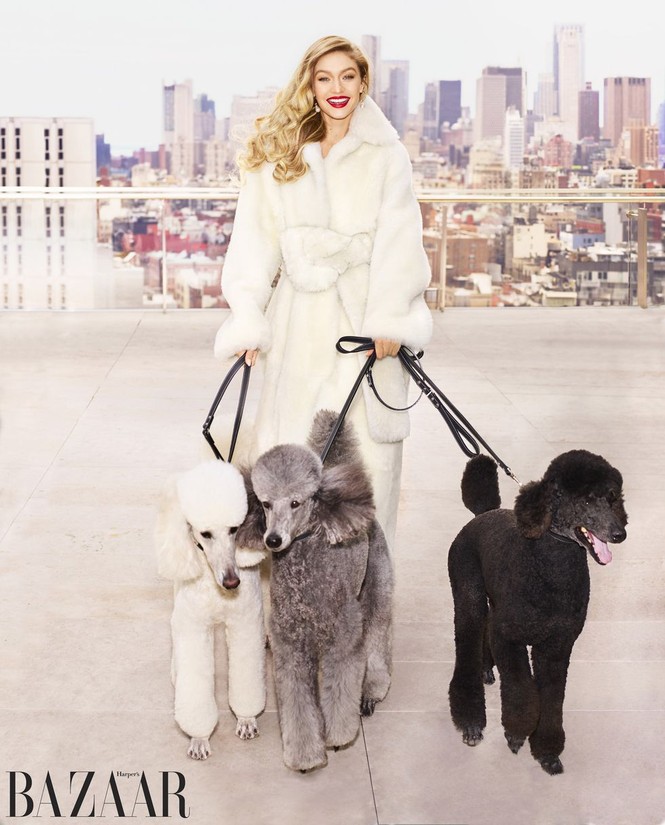 Gigi Hadid đường cong gợi cảm - ảnh 8