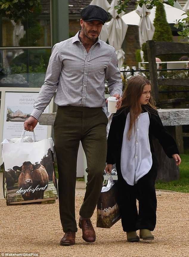 Harper Beckham mặc đồ cánh cụt dễ thương, được bố âu yếm khi đi nông trại - ảnh 1