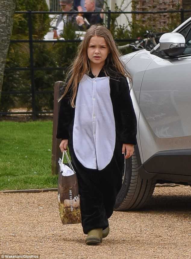 Harper Beckham mặc đồ cánh cụt dễ thương, được bố âu yếm khi đi nông trại - ảnh 4