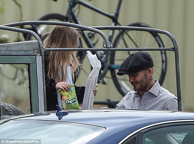 Harper Beckham mặc đồ cánh cụt dễ thương, được bố âu yếm khi đi nông trại - ảnh 8