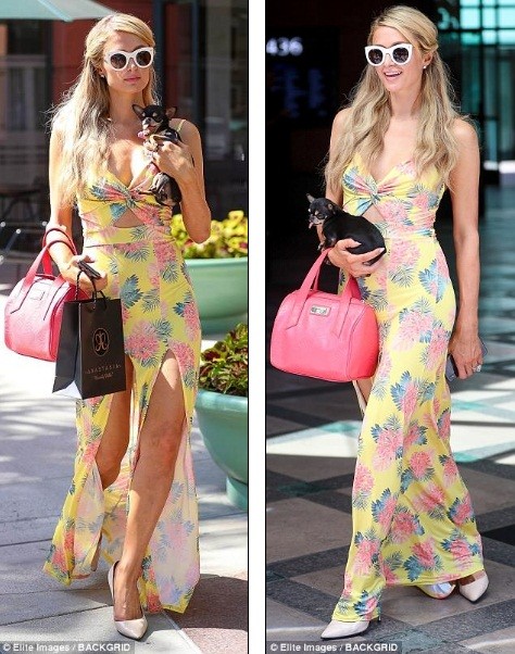 Paris Hilton thần thái sang chảnh, diện váy xẻ bế cún cưng - ảnh 2