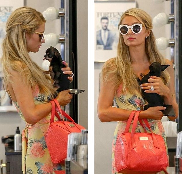 Paris Hilton thần thái sang chảnh, diện váy xẻ bế cún cưng - ảnh 4