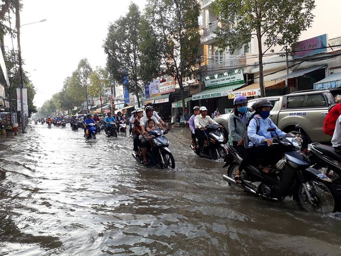 Triều cường gây khó khăn cho người dân miền Tây - ảnh 1