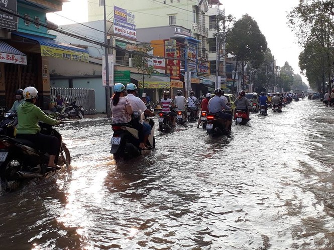 Triều cường gây khó khăn cho người dân miền Tây - ảnh 4