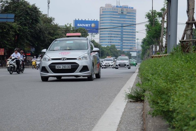 đại lộ Thăng Long, cắt cỏ, cắt tỉa cây, cắt giảm, cây xanh, - ảnh 6