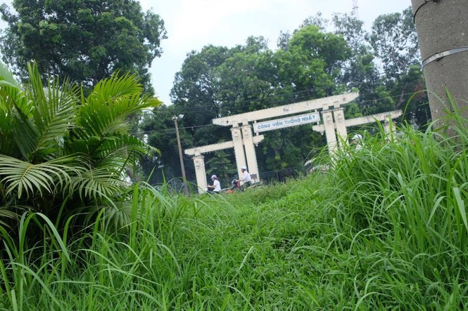 đại lộ Thăng Long, cắt cỏ, cắt tỉa cây, cắt giảm, cây xanh, - ảnh 7