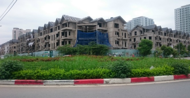 đại lộ Thăng Long, cắt cỏ, cắt tỉa cây, cắt giảm, cây xanh, - ảnh 3