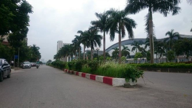 đại lộ Thăng Long, cắt cỏ, cắt tỉa cây, cắt giảm, cây xanh, - ảnh 4