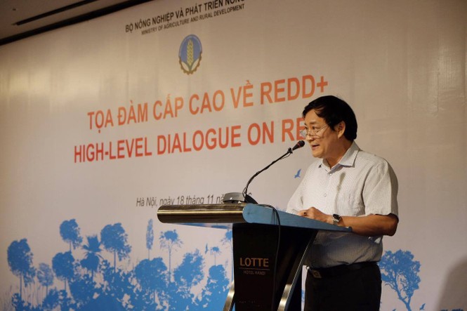 UN, RED, lâm nghiệp, Bộ NN&PTNT - ảnh 1