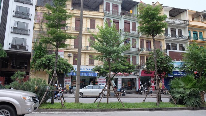 cây xanh, thay thế cây xanh, 1 triệu cây xanh - ảnh 8