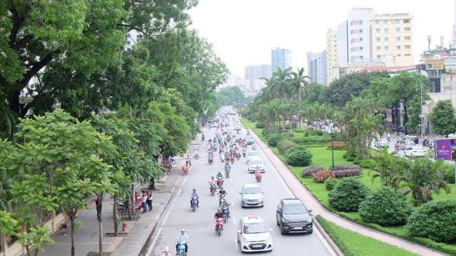 cây xanh, thay thế cây xanh, 1 triệu cây xanh - ảnh 12