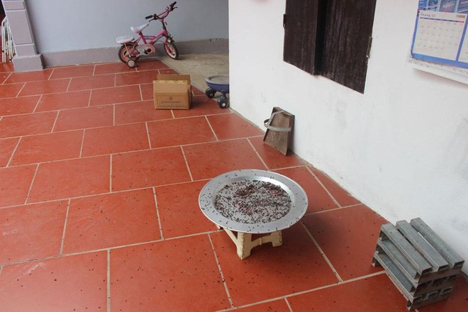 bãi rác nam sơn, xã nam sơn, huyện sóc sơn, ruồi tấn công, ô nhiễm - ảnh 9