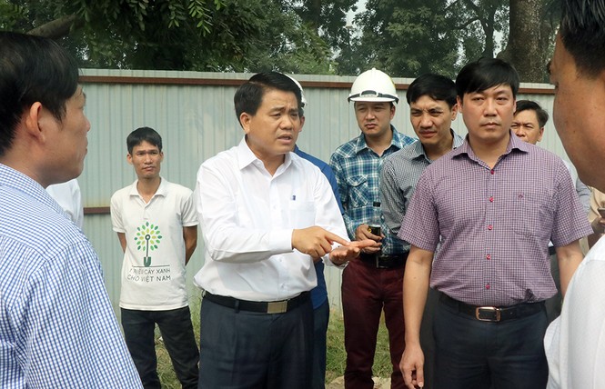 cây xanh, đánh chuyển, 1.300 cây xanh, phạm văn đồng - ảnh 1