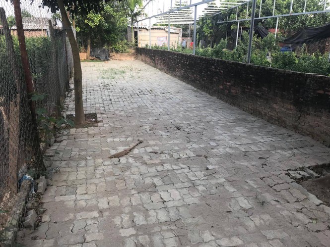 gạch block cũ, mua gạch cũ, lát đá tự nhiên, vỉa hè, lãng phí, quảng an, tứ liên, lát nền nhà, mua gạch, - ảnh 6