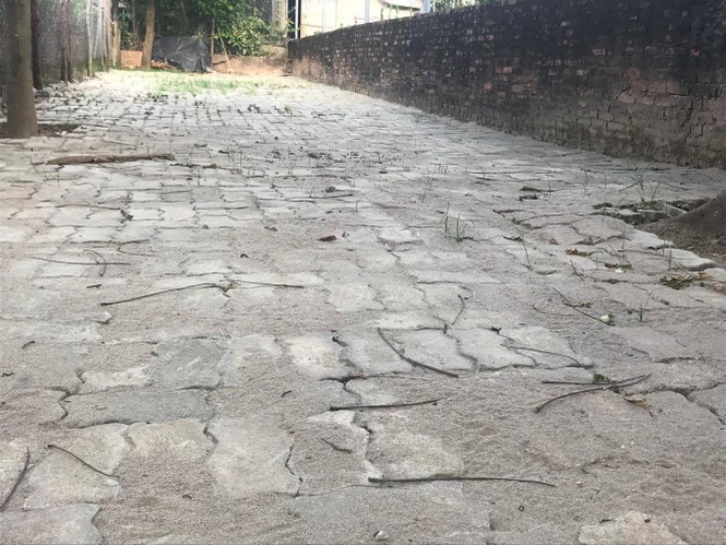 gạch block cũ, mua gạch cũ, lát đá tự nhiên, vỉa hè, lãng phí, quảng an, tứ liên, lát nền nhà, mua gạch, - ảnh 7