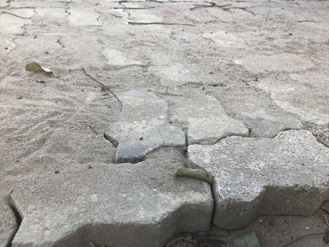 gạch block cũ, mua gạch cũ, lát đá tự nhiên, vỉa hè, lãng phí, quảng an, tứ liên, lát nền nhà, mua gạch, - ảnh 5