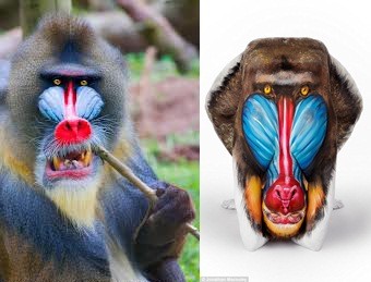Kinh ngạc với những bức ảnh nghệ thuật 'bodypainting' - ảnh 5