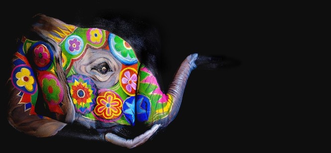 Kinh ngạc với những bức ảnh nghệ thuật 'bodypainting' - ảnh 8