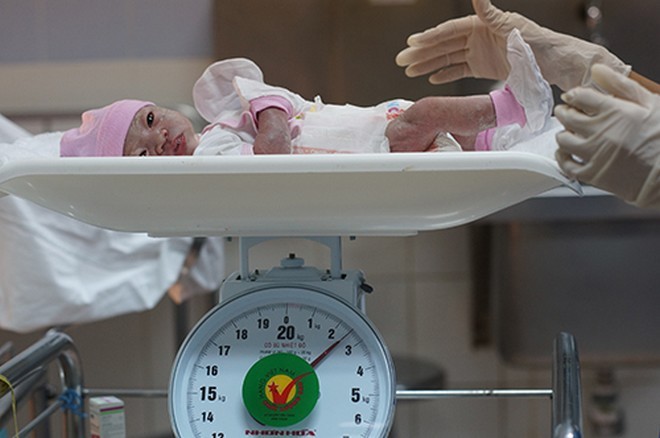 Những công dân đầu tiên năm Bính Thân - ảnh 4