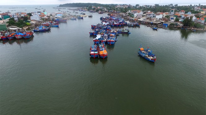 Sửng sốt với vẻ đẹp của 'Ốc đảo thần tiên' nhìn từ trên cao - ảnh 8