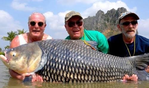 Dùng tro cốt của bạn thân làm mồi câu cá khổng lồ - ảnh 2
