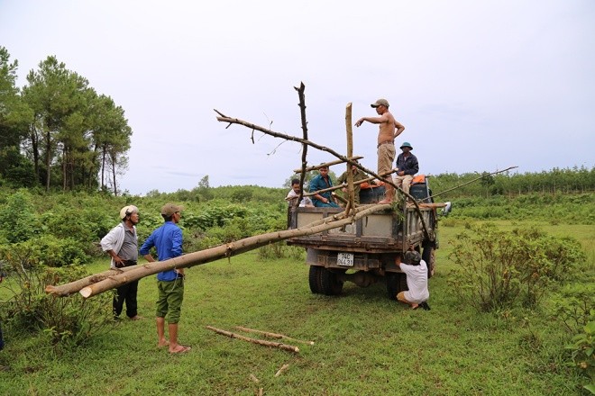 Thợ săn bắt thêm một trâu hoang - ảnh 4