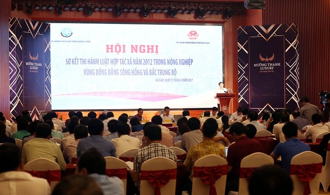 Nông dân giỏi sao vẫn phải 'giải cứu' nông sản? - ảnh 1