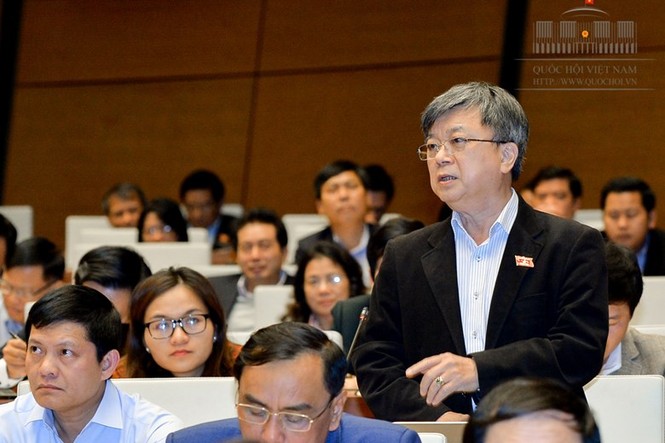 Đại biểu lo ngại đầu cơ đất đai có nguy cơ mất chủ quyền lãnh thổ - ảnh 1
