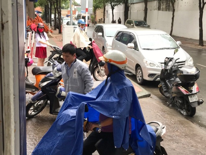 Bão Tembin, bão số 16, TPHCM, trường học, Sở GD-ĐT, tránh bão - ảnh 4