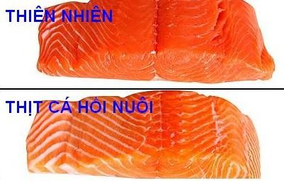 Những thực phẩm gây ung thư - ảnh 9