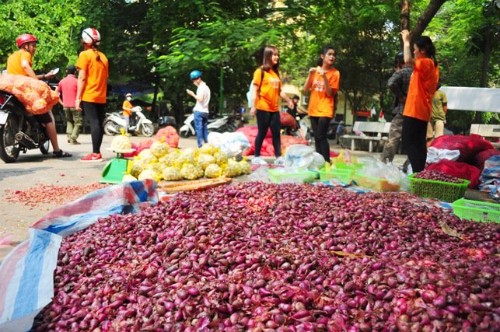 Hành, tỏi Lý Sơn bán đổ đống ở Hà Nội - ảnh 1