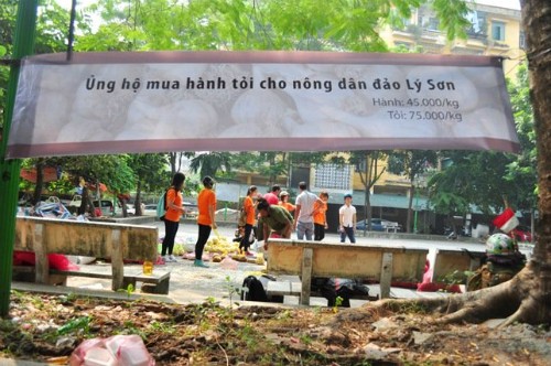 Hành, tỏi Lý Sơn bán đổ đống ở Hà Nội - ảnh 2