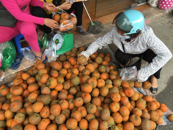 Sự thật cam Hà Giang quấn nilon ngập chợ Hà Nội - ảnh 2