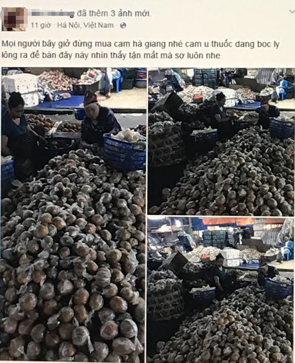 Sự thật cam Hà Giang quấn nilon ngập chợ Hà Nội - ảnh 1