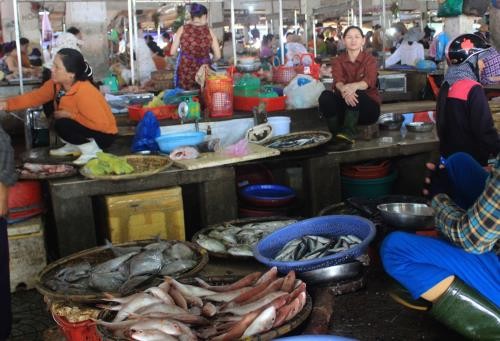 Giới kinh doanh điêu đứng vì thông tin cá chết hàng loạt ở miền Trung - ảnh 1