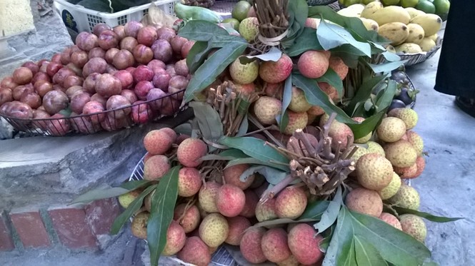 Vải đầu mùa “hét giá” 100.000 đồng/kg - ảnh 1
