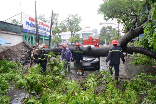 Đạp cửa, bố cứu con gái thoát khỏi xe bị cây cổ thụ đổ trúng - ảnh 2