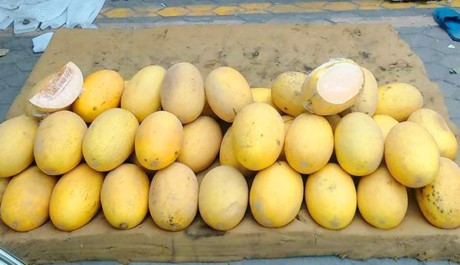Bốn loại quả Trung Quốc đội lốt hàng sạch lừa dân Việt - ảnh 1