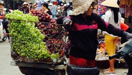 Bốn loại quả Trung Quốc đội lốt hàng sạch lừa dân Việt - ảnh 5