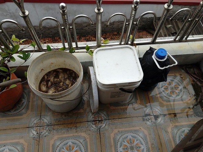 Vì sao dân Hà Nội tranh nhau mua cá thối cuối chợ? - ảnh 2