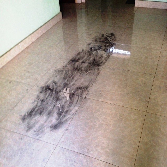Tình tiết mới trong vụ thảm án 4 bà cháu bị giết tại nhà - ảnh 2