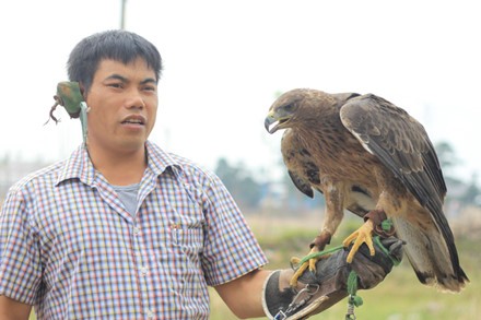 Chim ưng, diều hâu, đại bàng bạc triệu tham gia hội thi chim săn mồi - ảnh 3