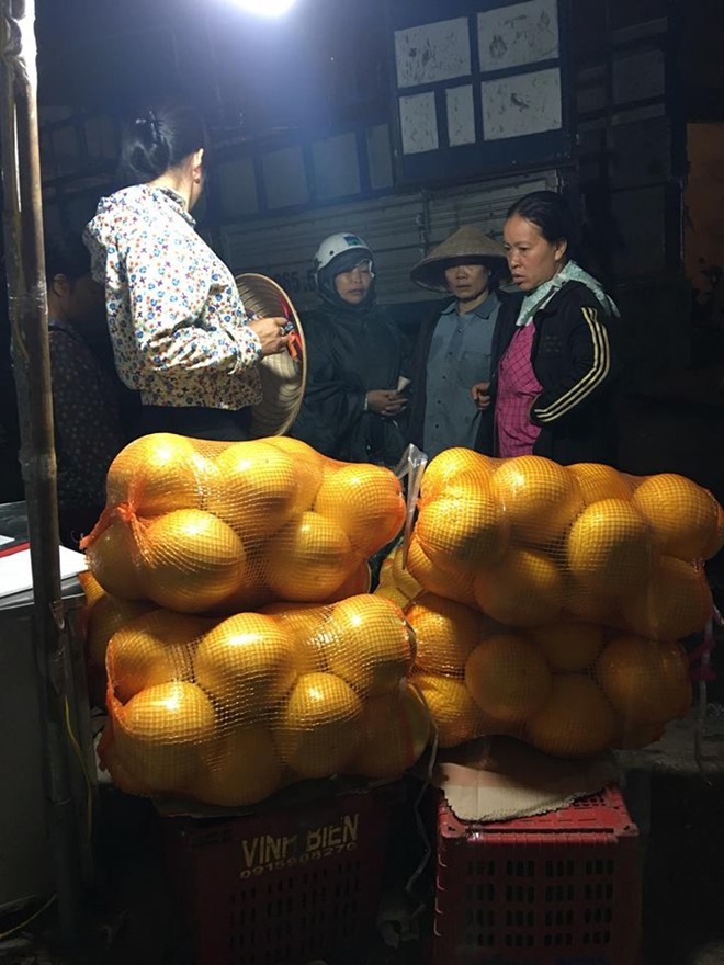 Bưởi lạ vàng bóng của Trung Quốc bán đầy chợ ở Hà Nội - ảnh 1